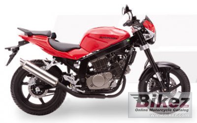 2010 Kasinski Comet 250 EFI photo